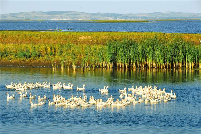 呼兰河口湿地风景区