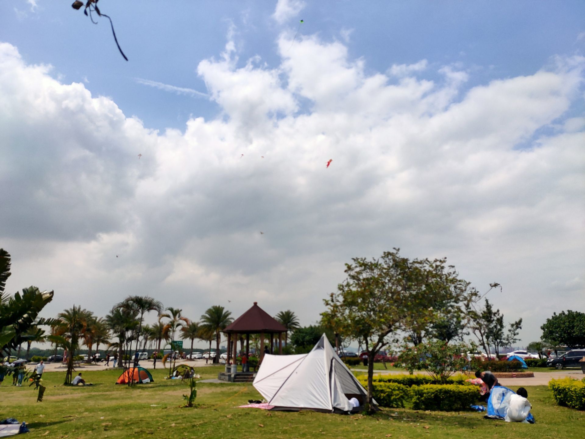 【携程攻略】广州海鸥岛景点,海鸥岛位于番禺区石楼镇,那里可眺望莲花