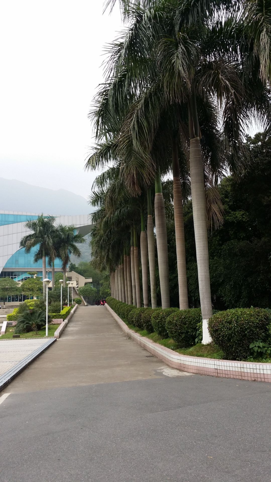 肇庆学院是广东省和肇庆市共建的全日制综合型本科大学位于广东省肇庆