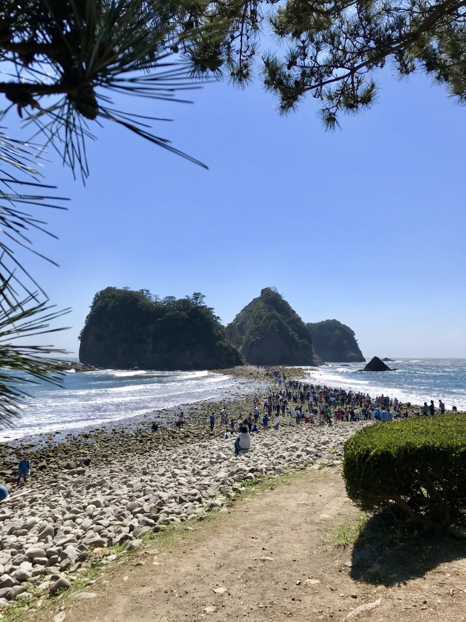 静冈县堂岛攻略,静冈县堂岛门票/游玩攻略/地址/图
