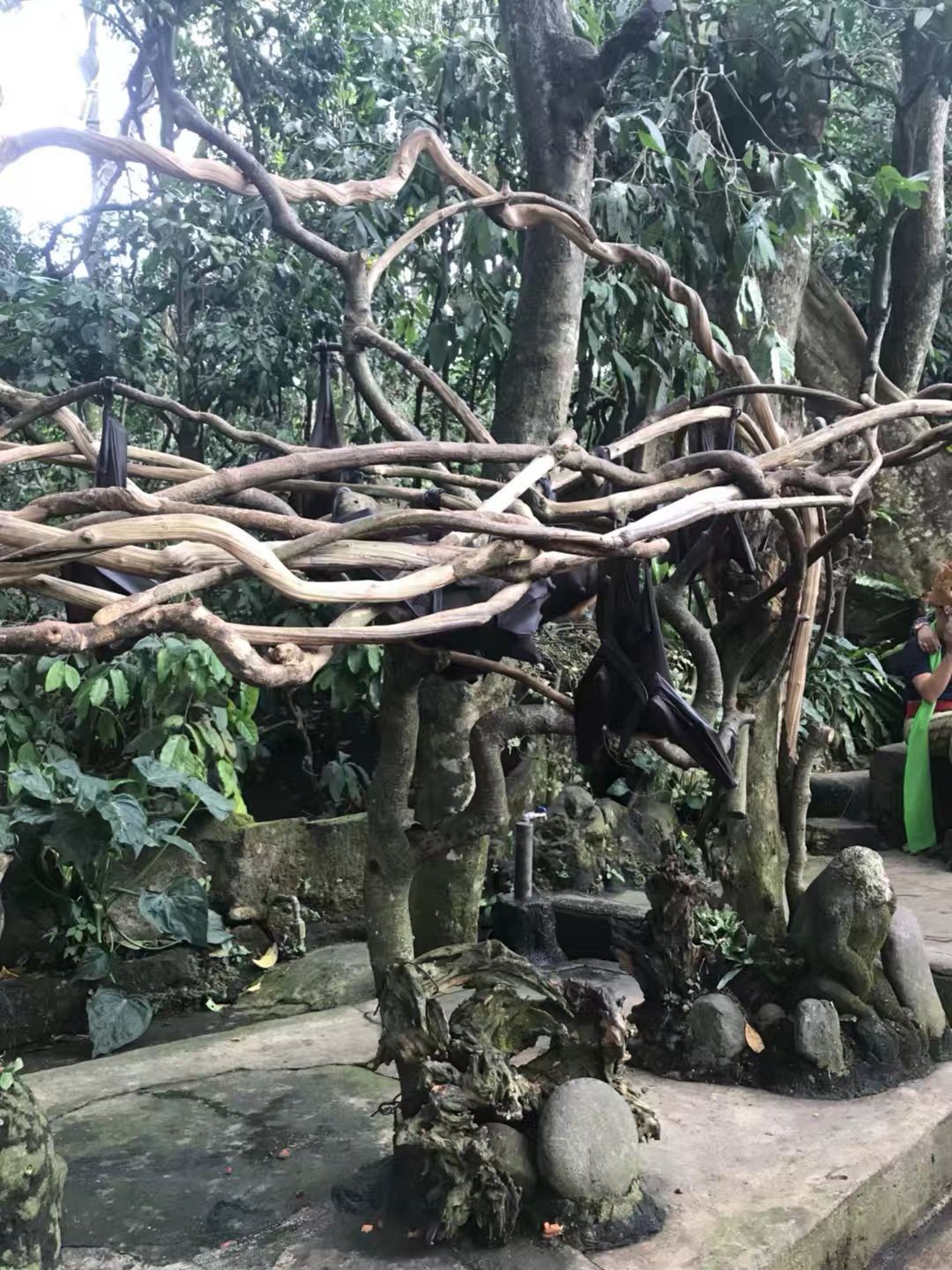 巴厘岛圣猴森林街好玩吗,巴厘岛圣猴森林街景点怎么样_点评_评价