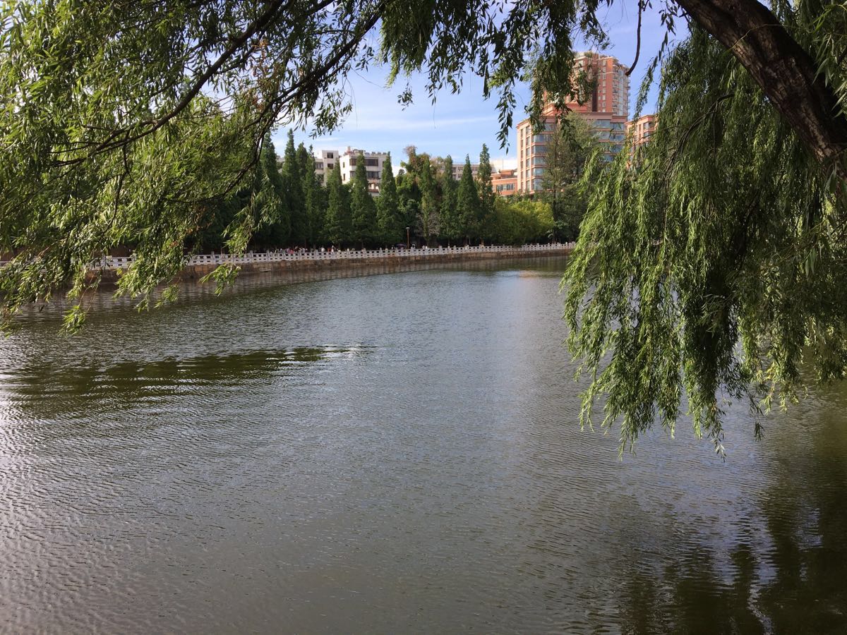 翠湖公园