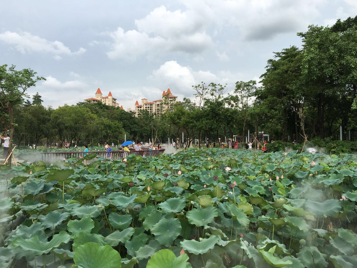 【攜程攻略】廣東佛山亞洲藝術公園好玩嗎,廣東亞洲藝術公園景點怎麼