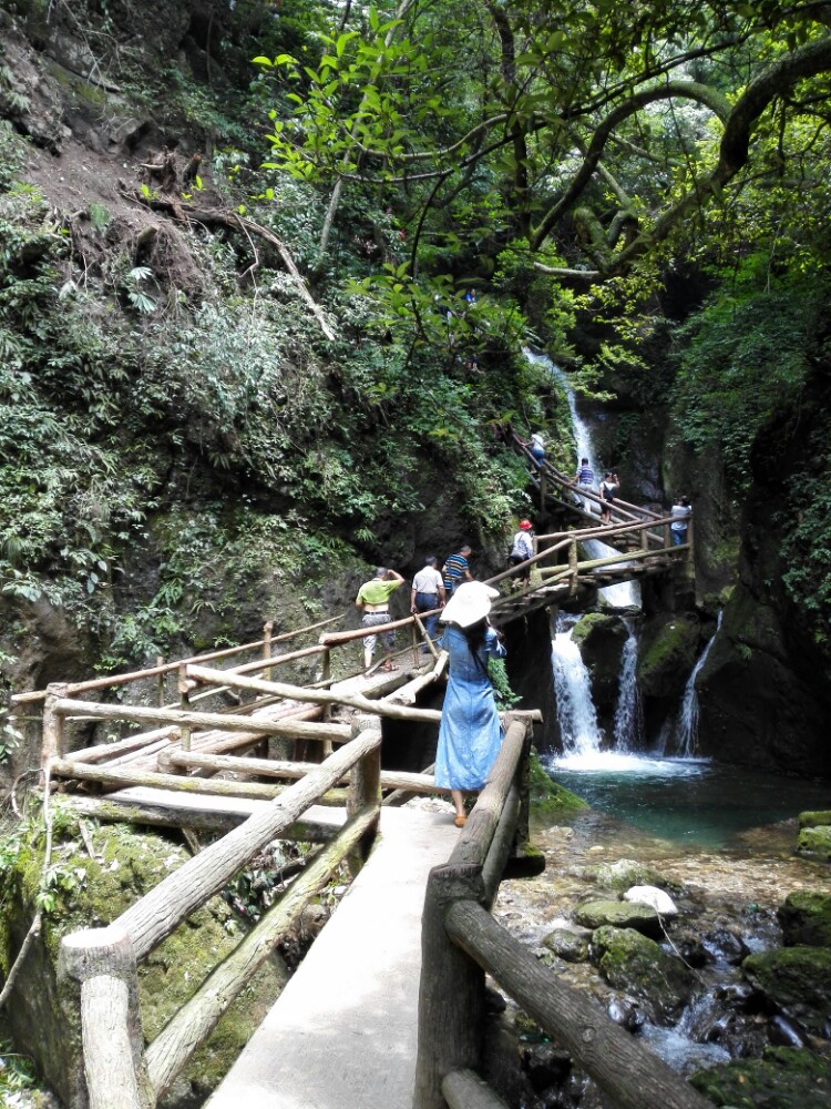 【攜程攻略】四川成都都江堰青城山青城後山好玩嗎,四川青城後山景點