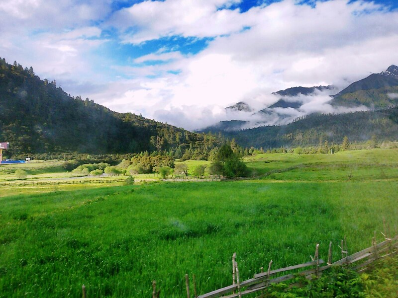 扎西岗村