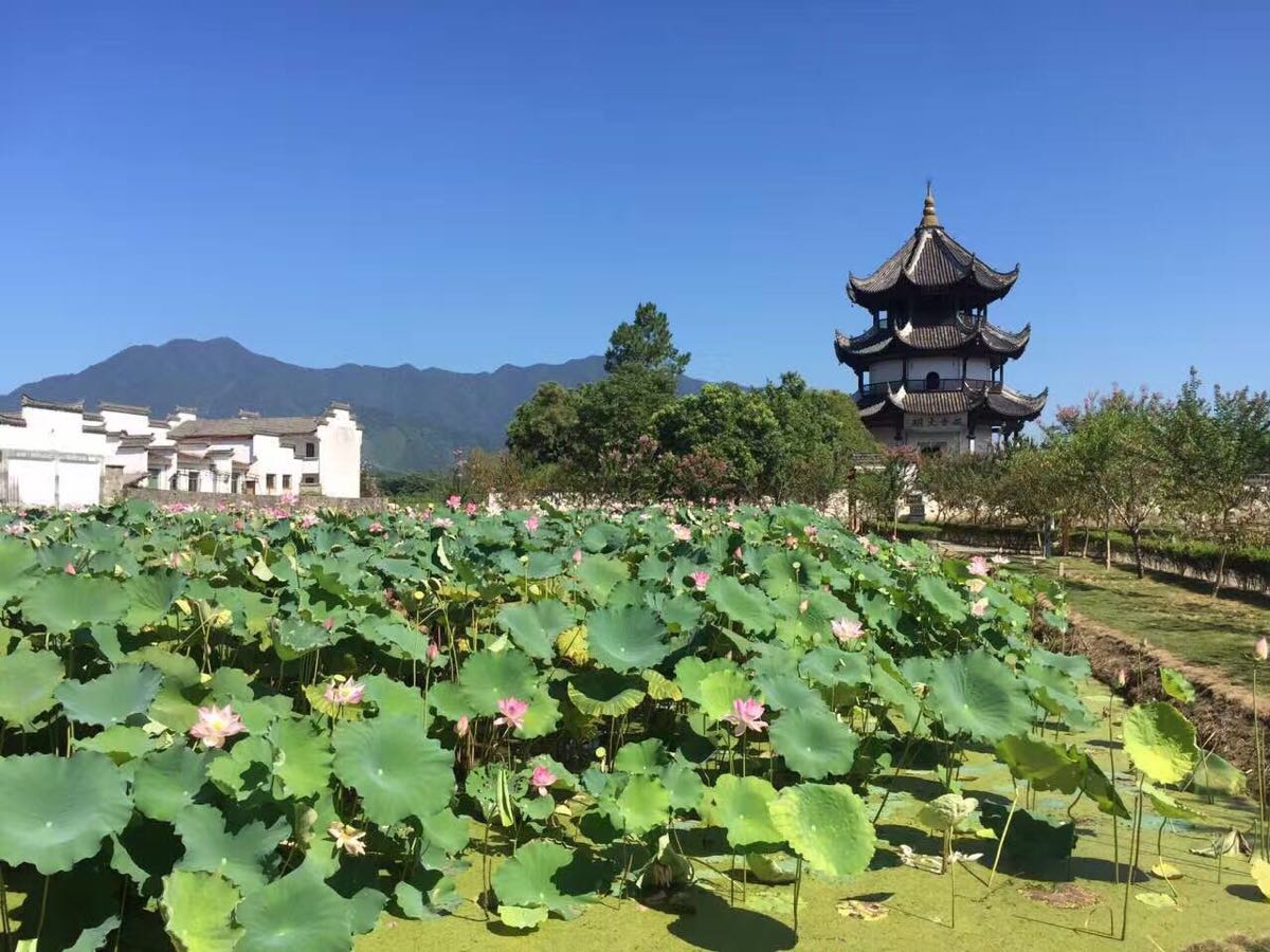 【攜程攻略】涇縣桃花潭畔旅遊度假區景點,沒有想到這裡有這麼好的