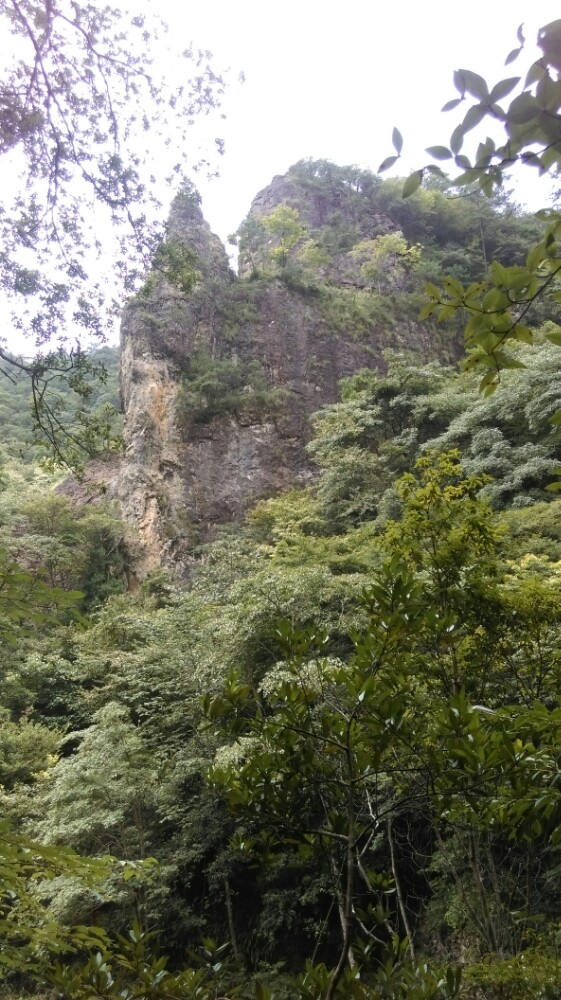 2019銅鈴山森林公園_旅遊攻略_門票_地址_遊記點評,文成旅遊景點推薦