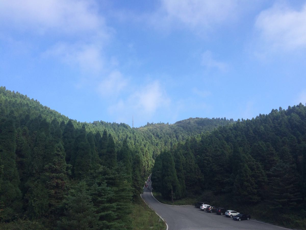 2023武陵山国家森林公园游玩攻略,景色很美,空气很好,但管理.