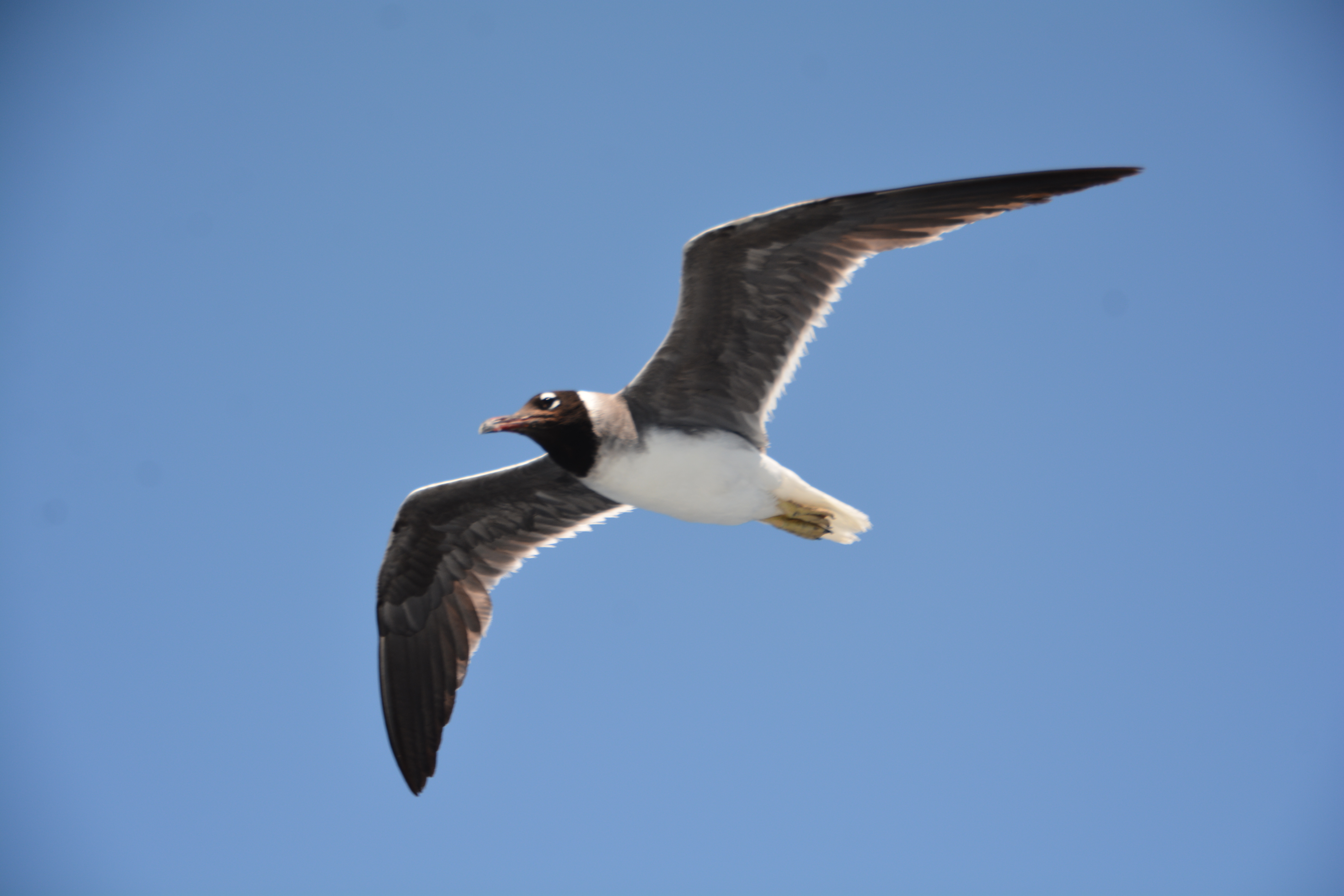 【携程攻略】娱乐点,红海度假 我们的旅行从以色列到约旦再