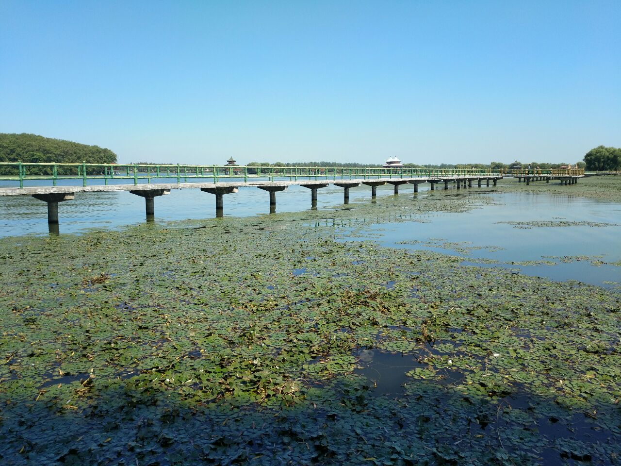 2023五里湖生态湿地公园游玩攻略,五里河风景区是颖上第二家农...【去哪儿攻略】