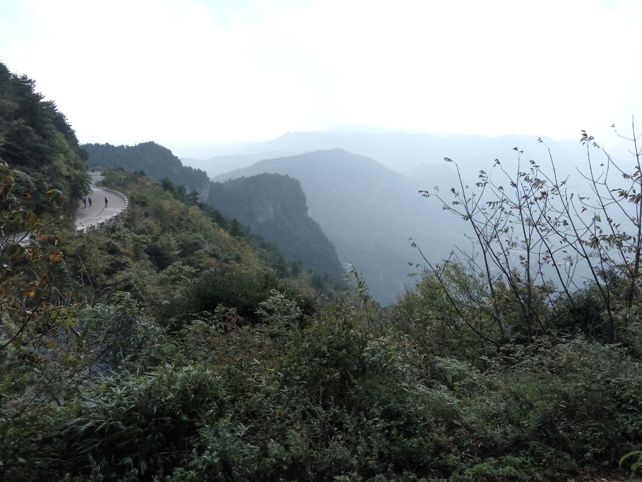 鸡峰山国家森林公园_360百科