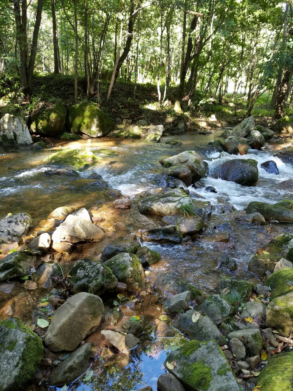 伊春金山公园图片