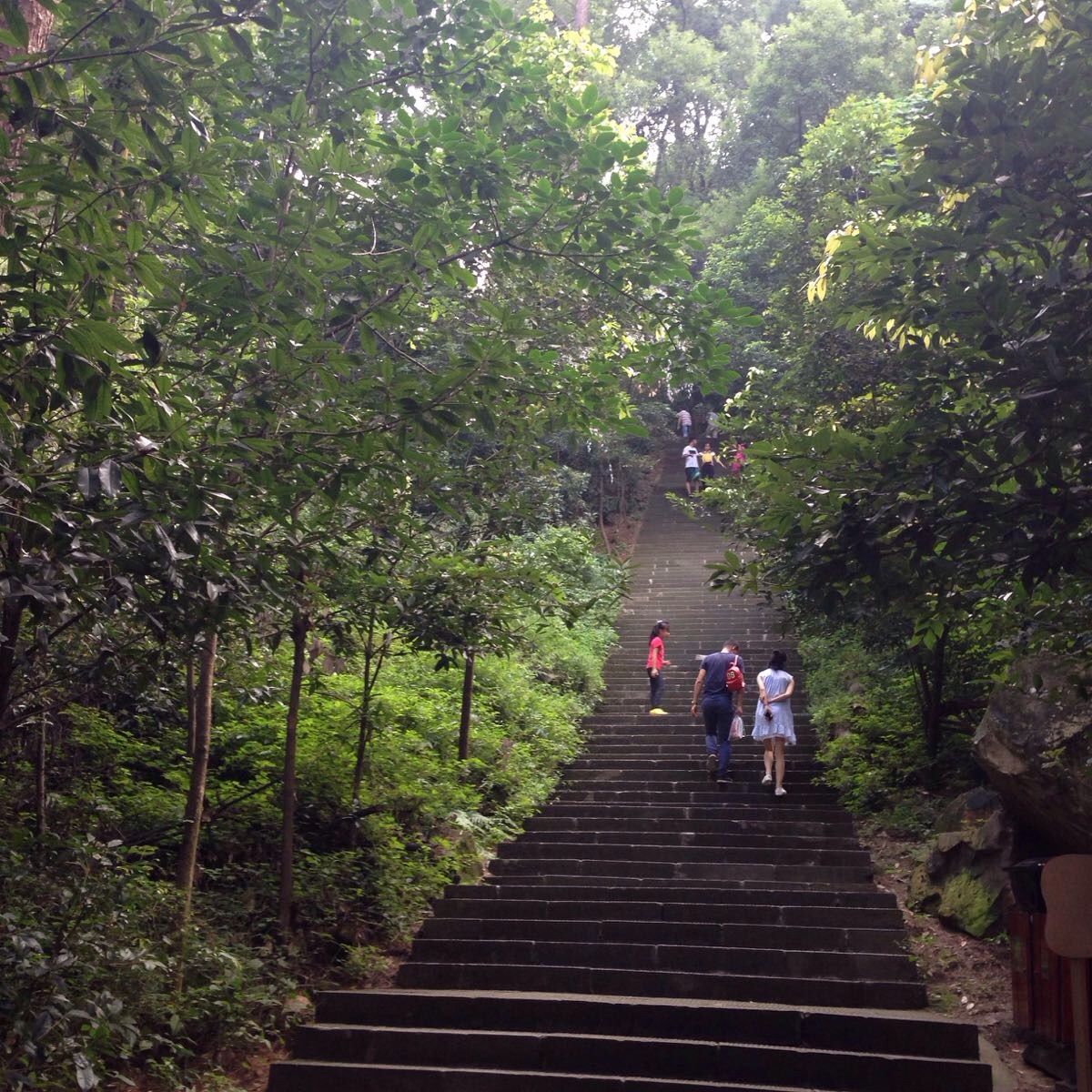 【携程攻略】重庆歌乐山国家森林公园景点,歌乐山国家森林公园位于沙坪坝区，距重庆市中心16公里。以山、水、林…