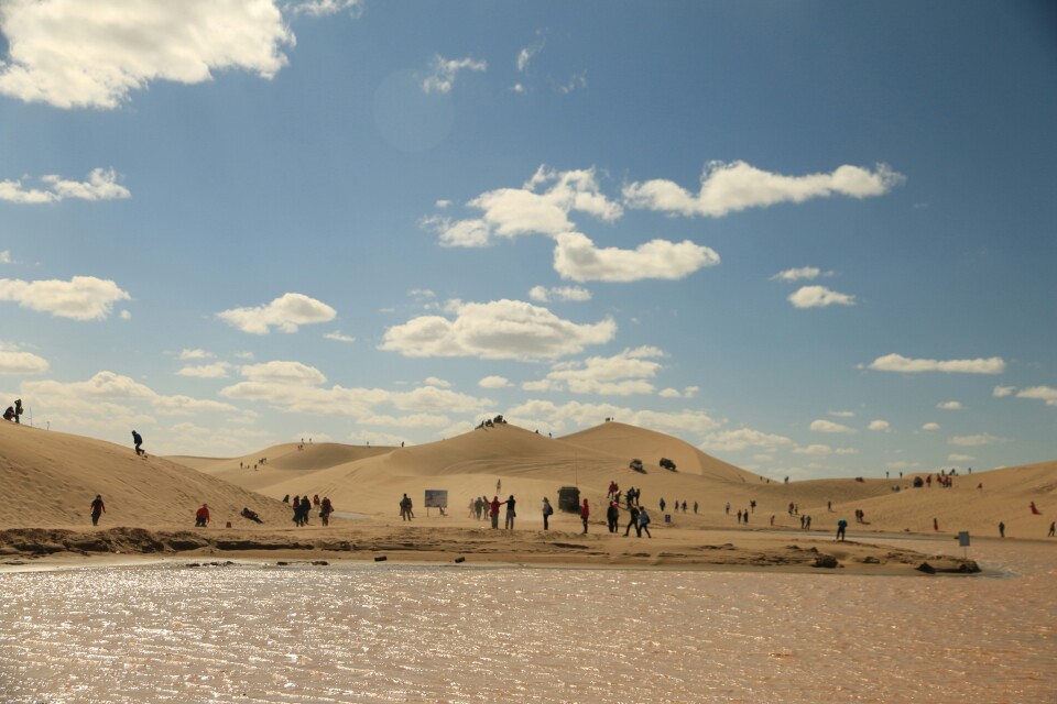 额济纳旗八道桥好玩吗,额济纳旗八道桥景点怎么样_点评_评价【携程