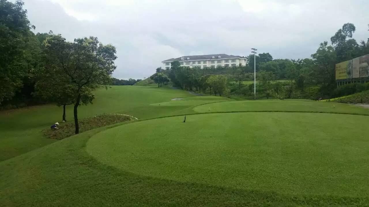 阳江涛景高尔夫球场图片