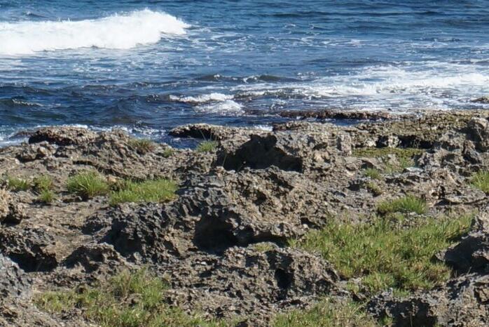 龙坑生态保护区