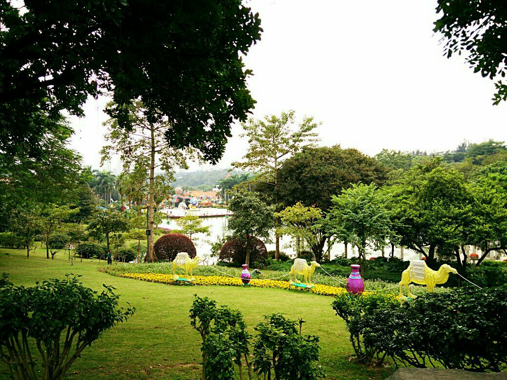 雲臺花園是目前國內最大的園林式花園,佔面很大,逛全在4小時之上.