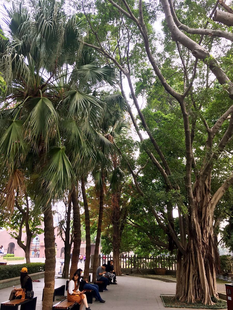 虎門鎮虎門公園好玩嗎,虎門鎮虎門公園景點怎麼樣_點評_評價【攜程