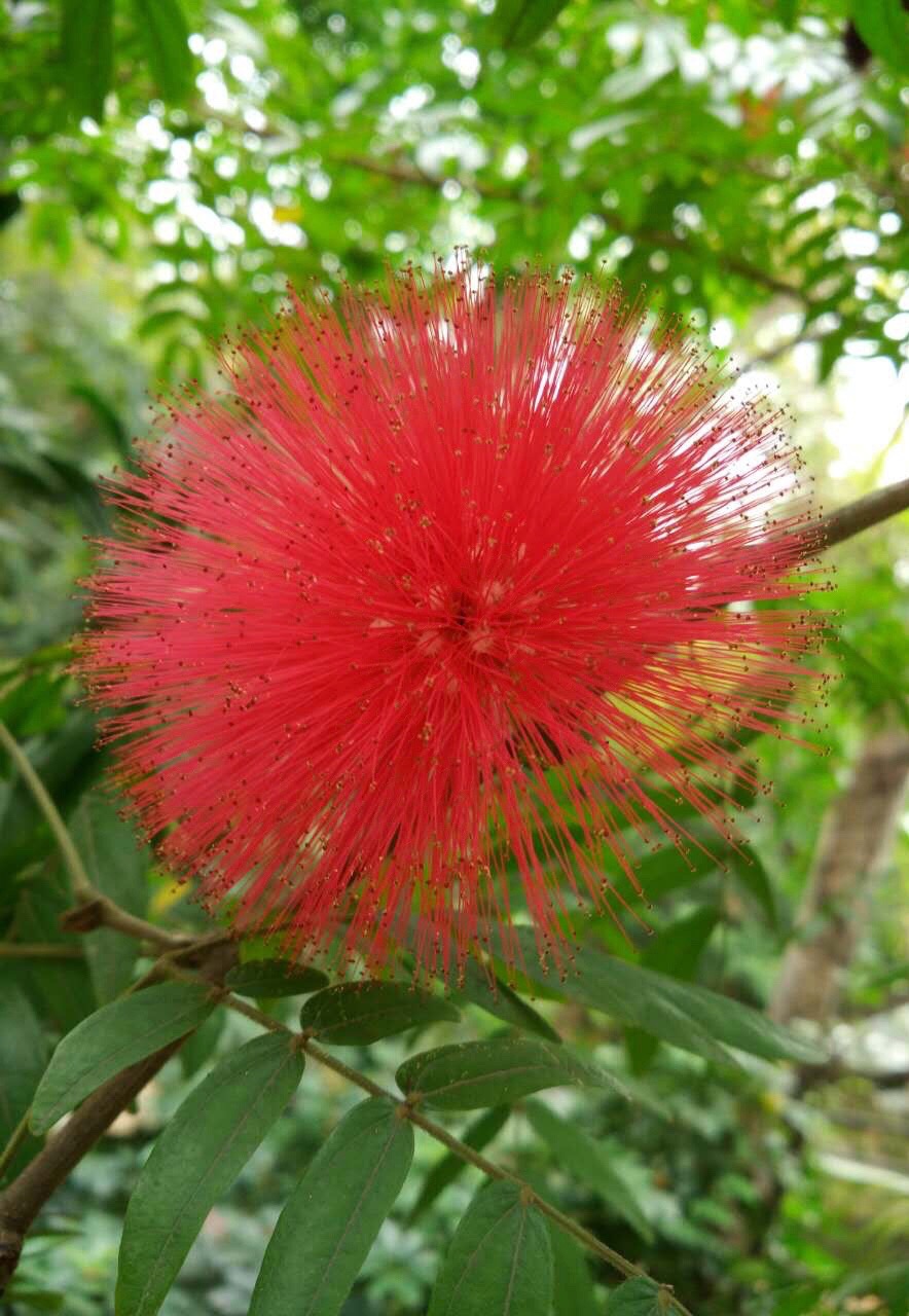 广西壮族自治区博物馆