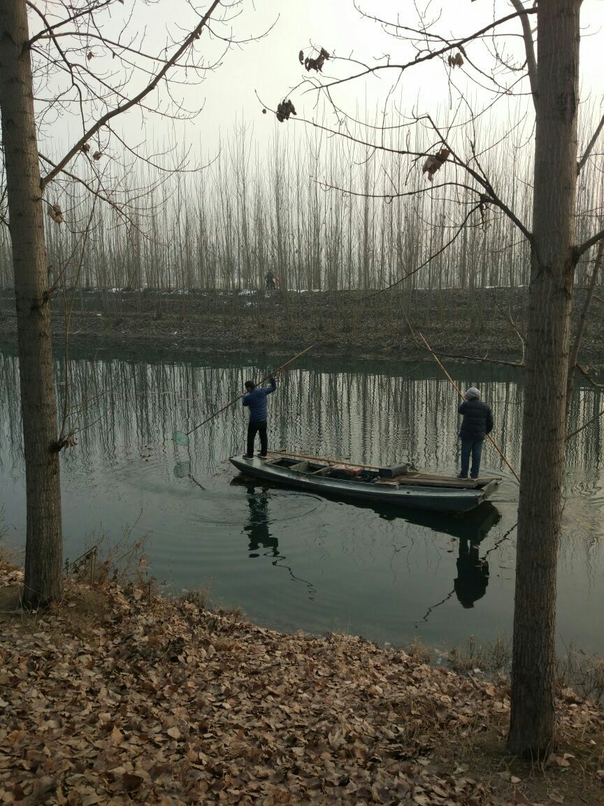 元妃荷園