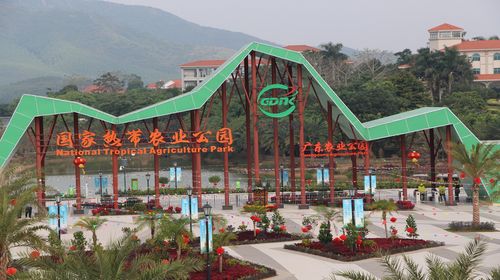 茂南旅游客运：解锁城市旅行新体验