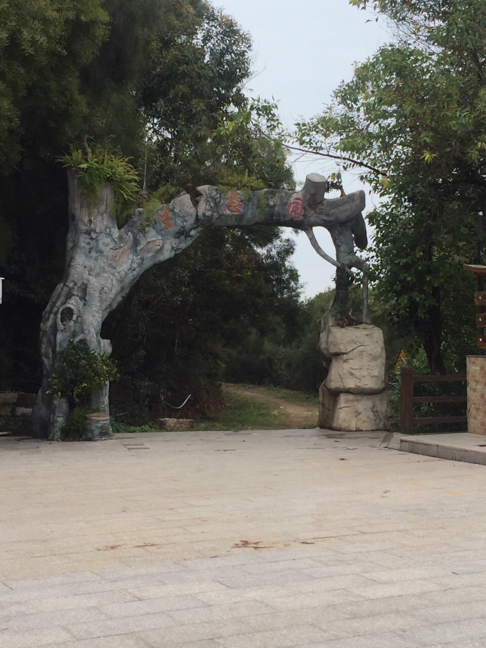 2020净峰寺-旅游攻略-门票-地址-问答-游记点评,惠安