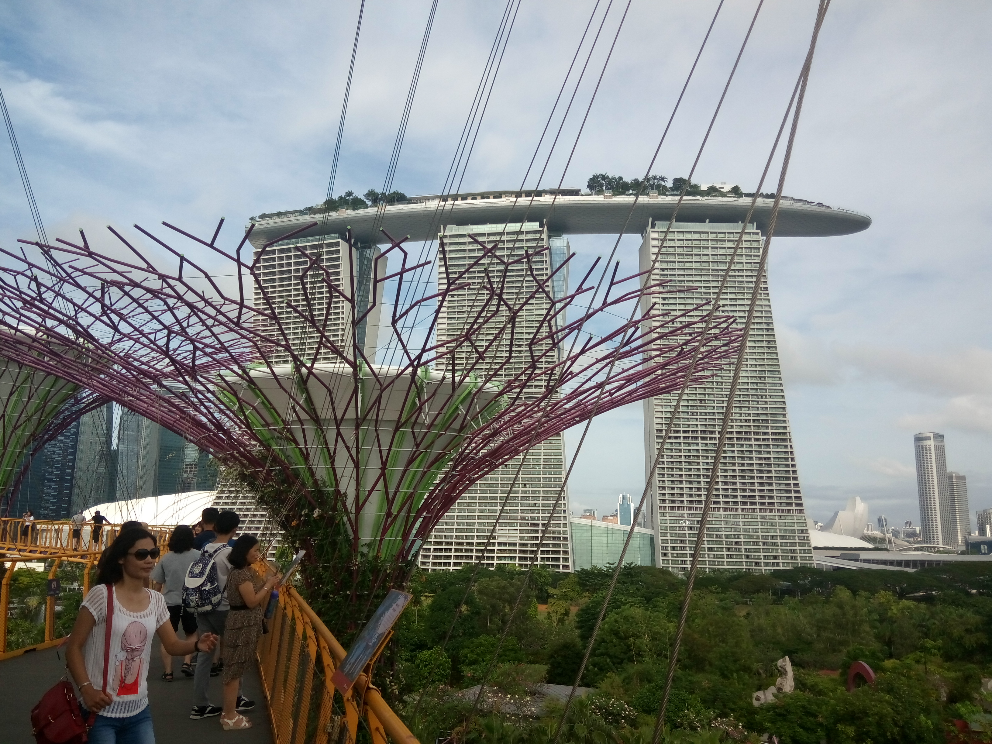 2020滨海湾金沙酒店无边泳池-旅游攻略-门票-地址-问答-游记点评，新加坡旅游旅游景点推荐-去哪儿攻略