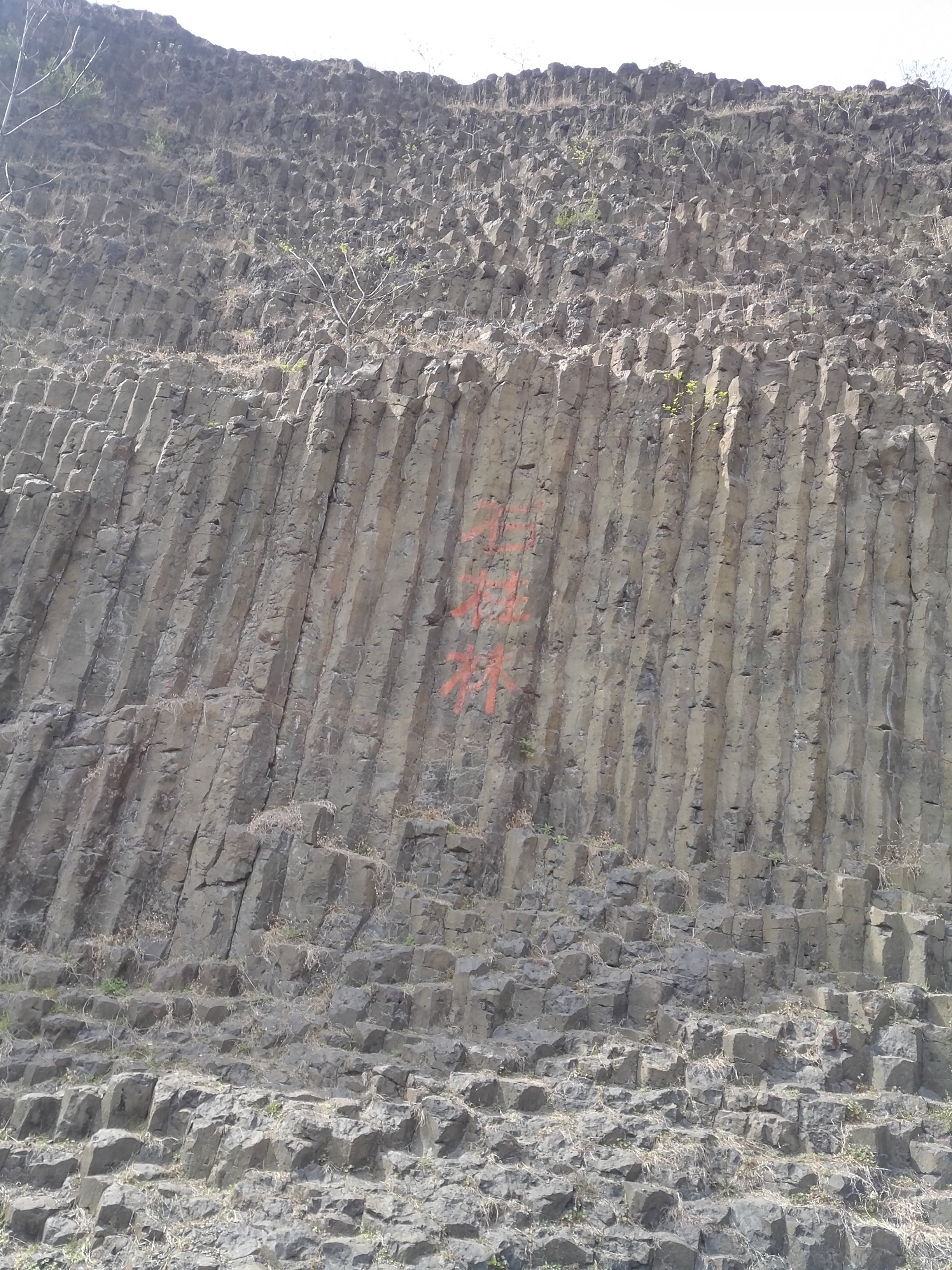 2019桂子山石柱林_旅游攻略_门票_地址_游记点评,南京旅游景点推荐