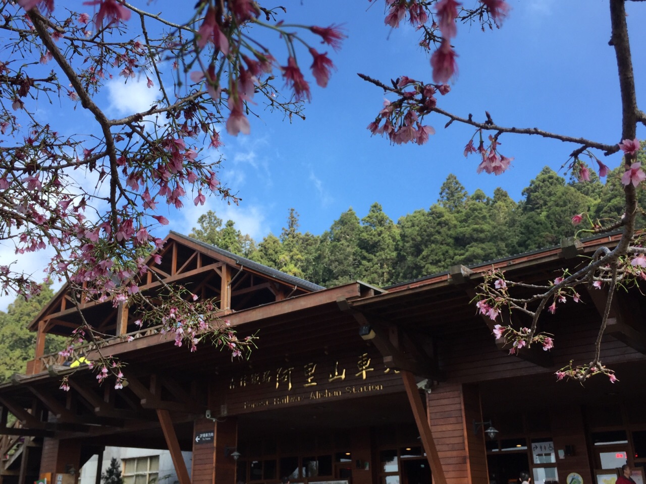 阿里山國家風景區