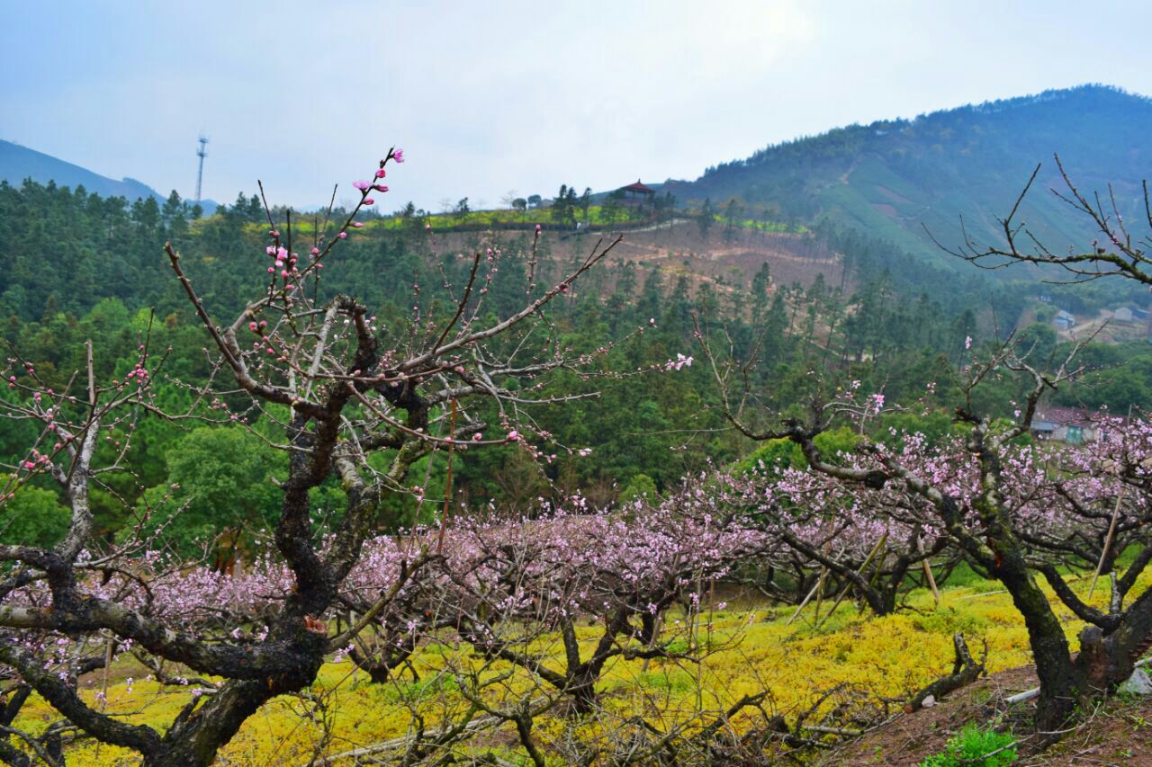 城山溝桃源山莊