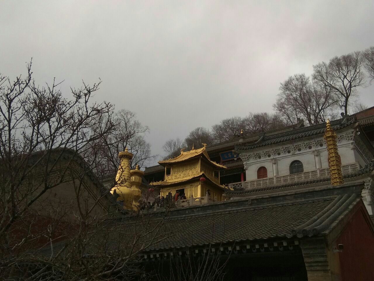 2019顯通寺_旅遊攻略_門票_地址_遊記點評,五臺山旅遊景點推薦 - 去