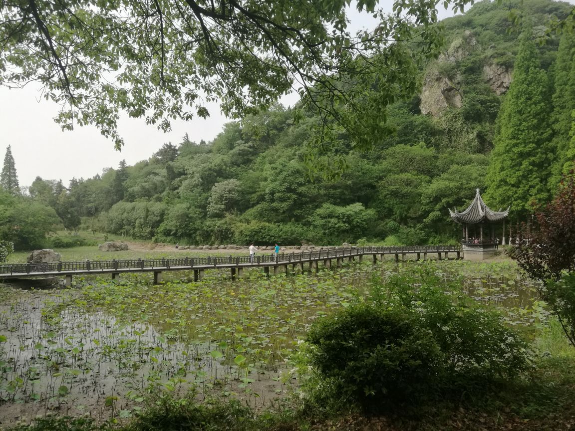 2019亭林園-旅遊攻略-門票-地址-問答-遊記點評,崑山旅遊旅遊景點推薦