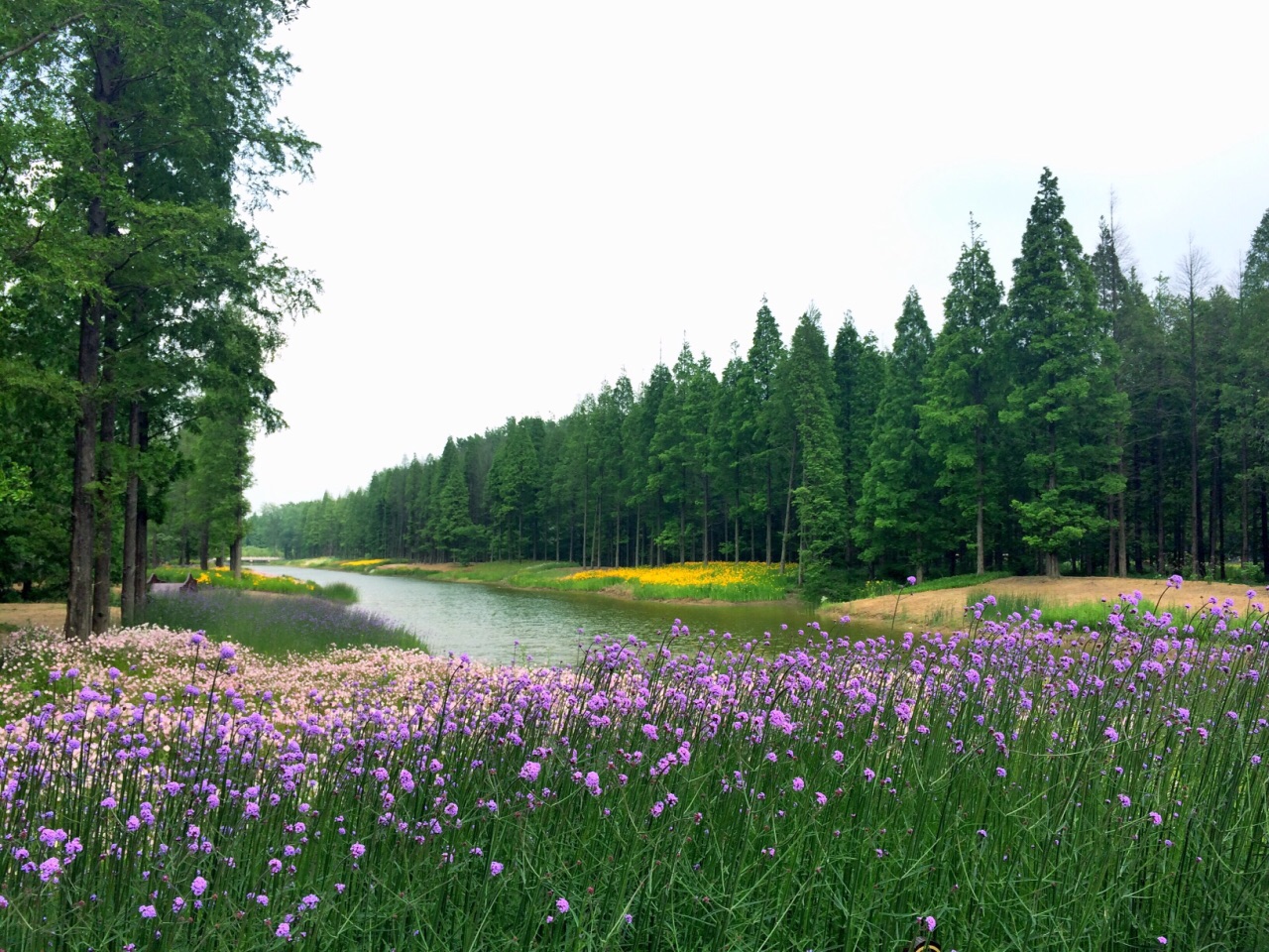 東臺黃海森林公園好玩嗎,東臺黃海森林公園景點怎麼樣_點評_評價