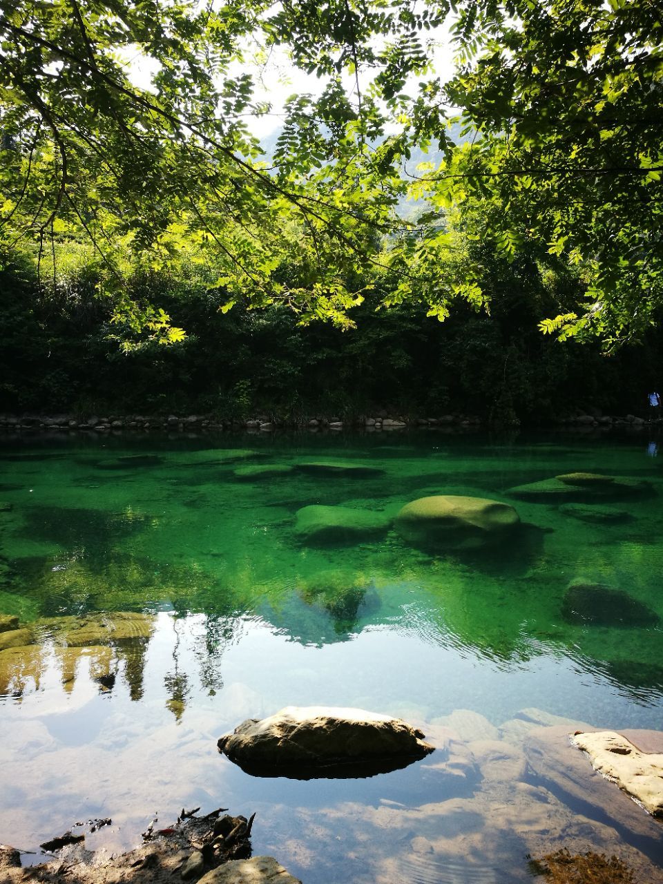 2019石臺牯牛降_旅遊攻略_門票_地址_遊記點評,池州旅遊景點推薦 - 去