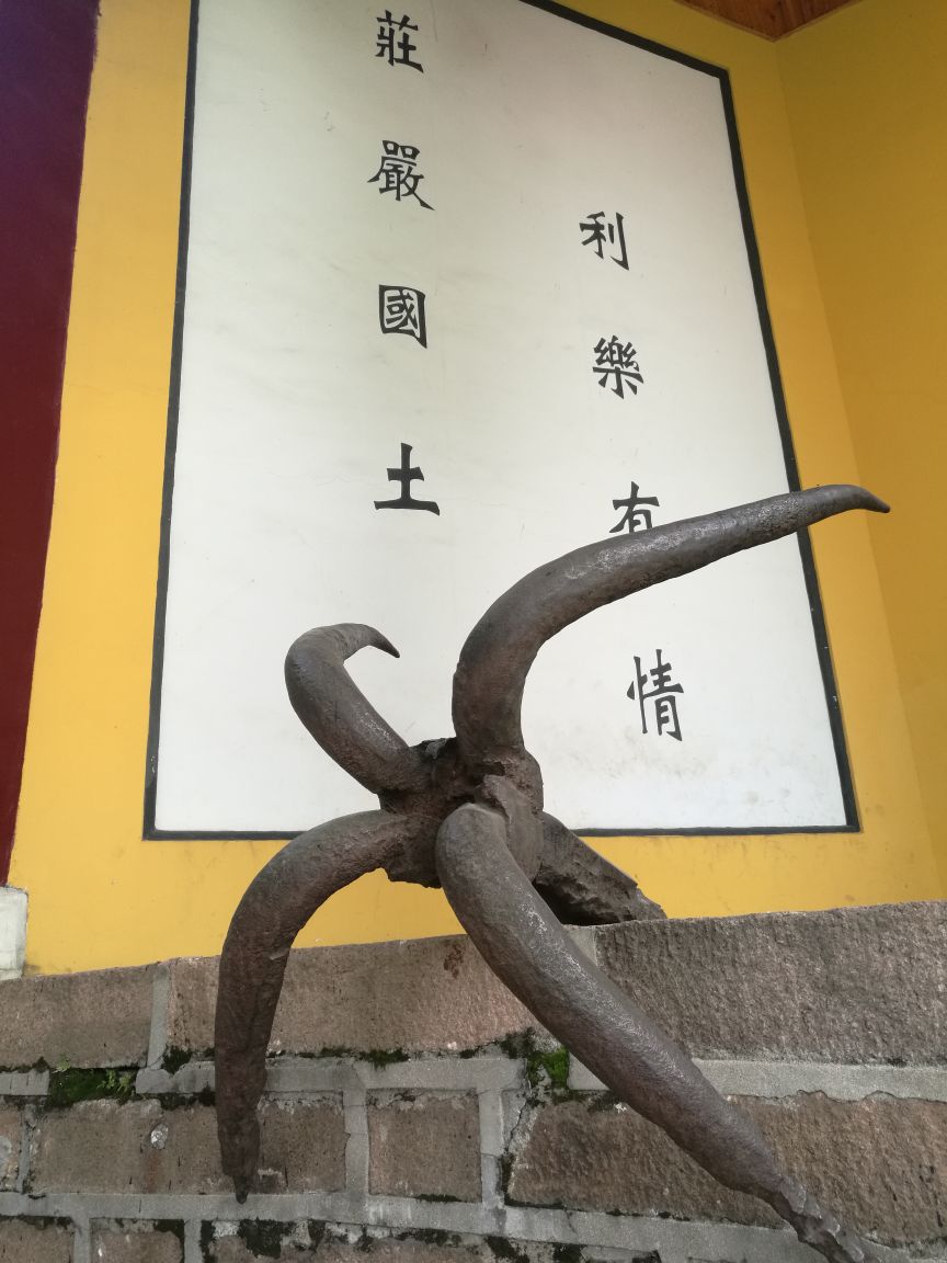 2023迎江寺游玩攻略,门票和登振风塔各要10元.迎.【去哪儿攻略】