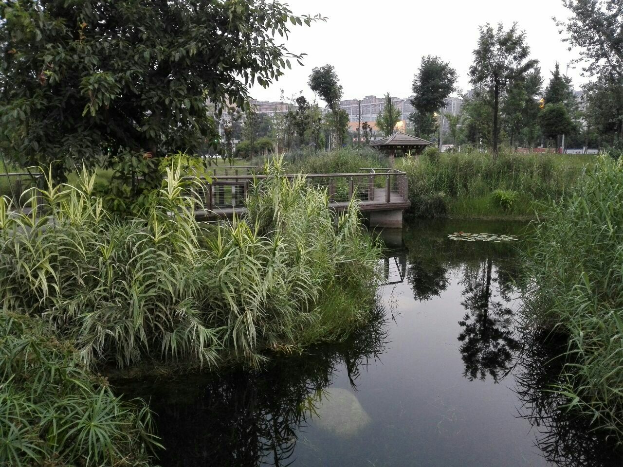 成都双流·棠湖公园-中关村在线摄影论坛