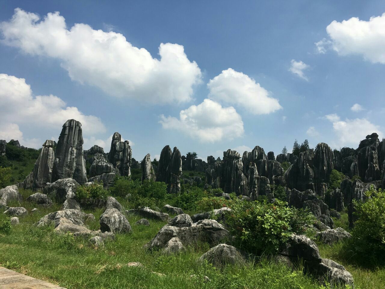 石林