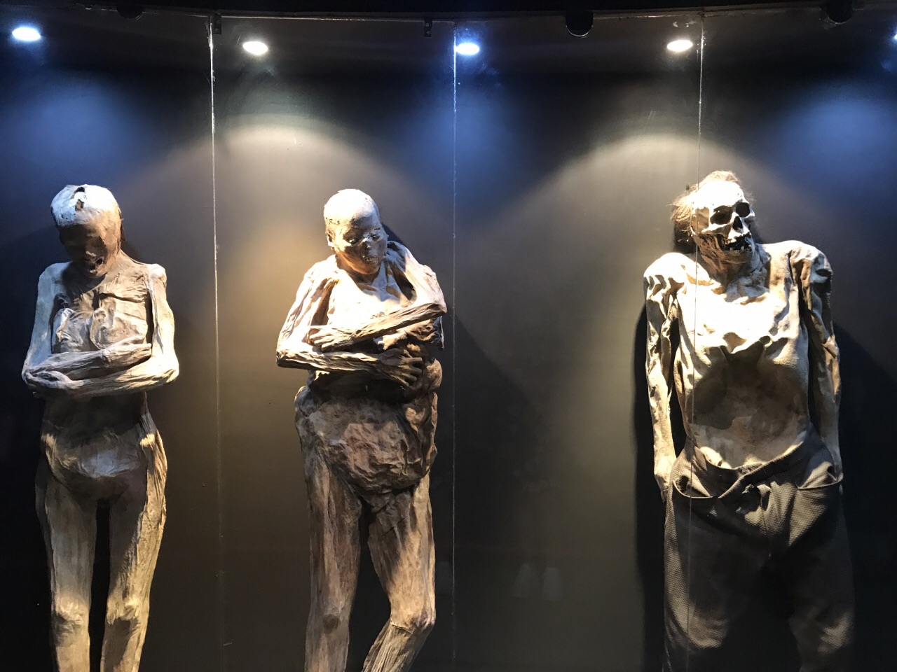 初入吐鲁番，满是惊喜：博物馆的那些干尸美人们_历史