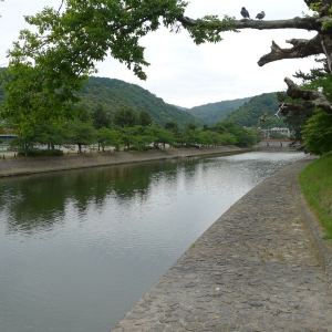 京料理宇治川 旅游攻略 门票 地址 问答 游记点评 宇治市旅游旅游景点推荐 去哪儿攻略