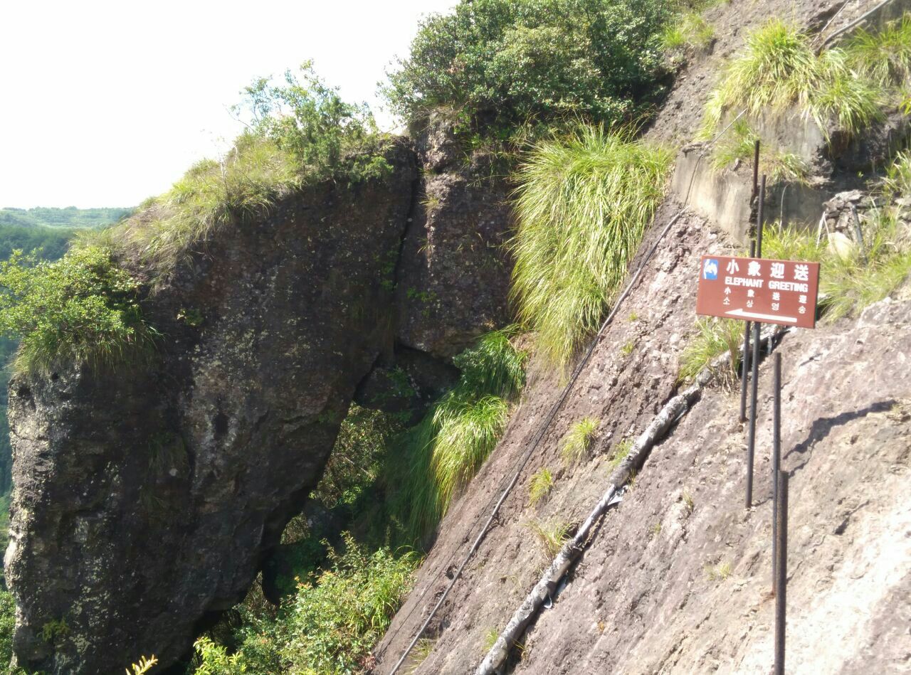 景星岩位于仙居县白塔镇距县城25公里与神仙居相邻是一个大山台中的一