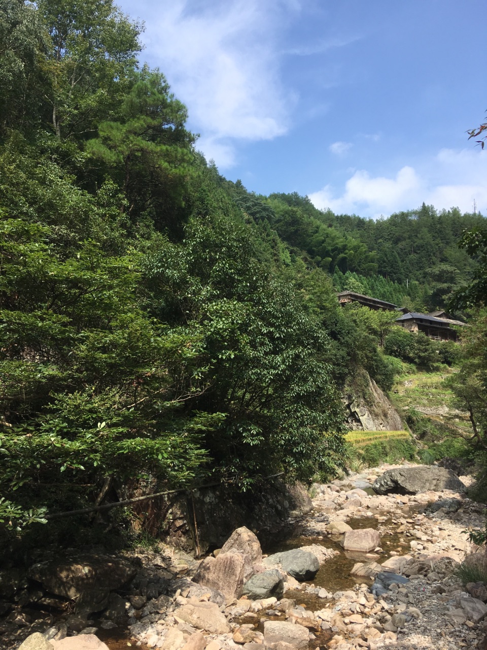 很原始的森林,很惬意的环境,很清新的空气,很美妙的一次旅行.
