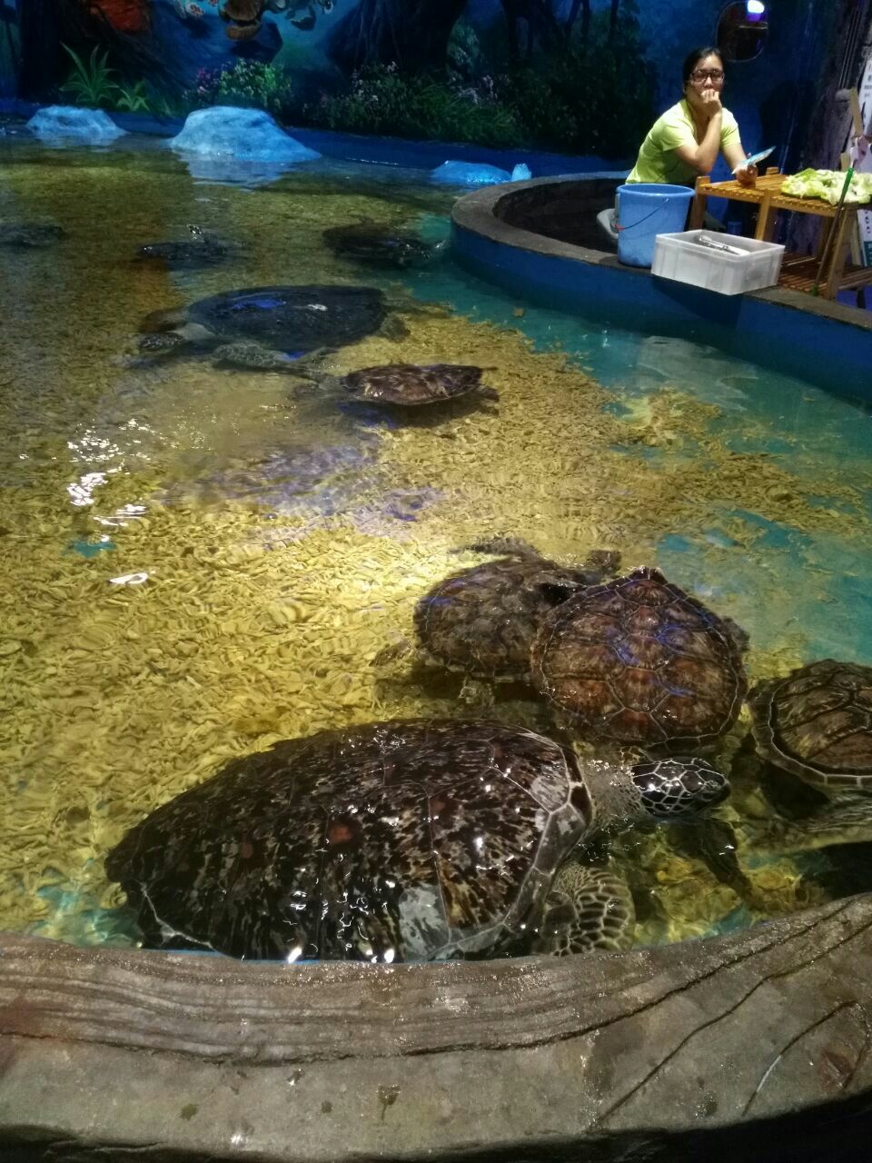 海立方海洋公园