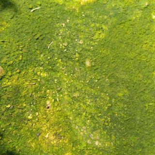 青田青田县图书馆攻略-青田县图书馆门票价格多少钱-团购票价预定优惠