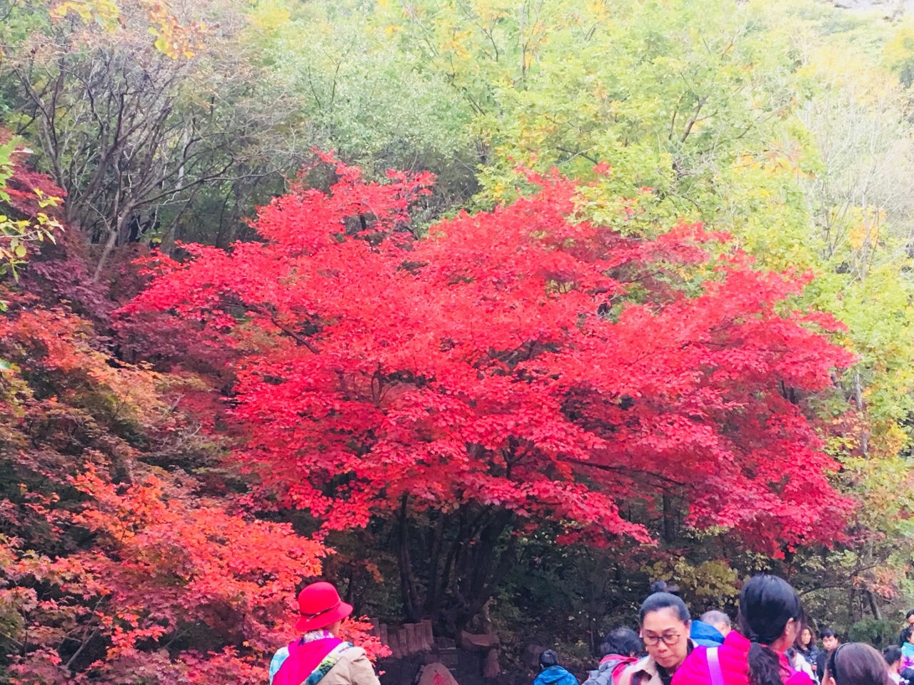 關門山國家森林公園