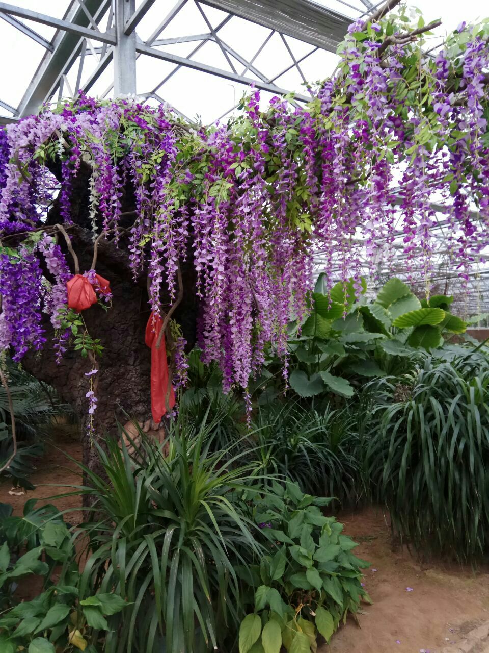 灵珠山植物园