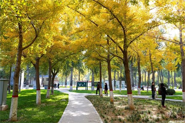 石家庄民防公园攻略,石家庄民防公园门票/游玩攻略/地址/图片/门票