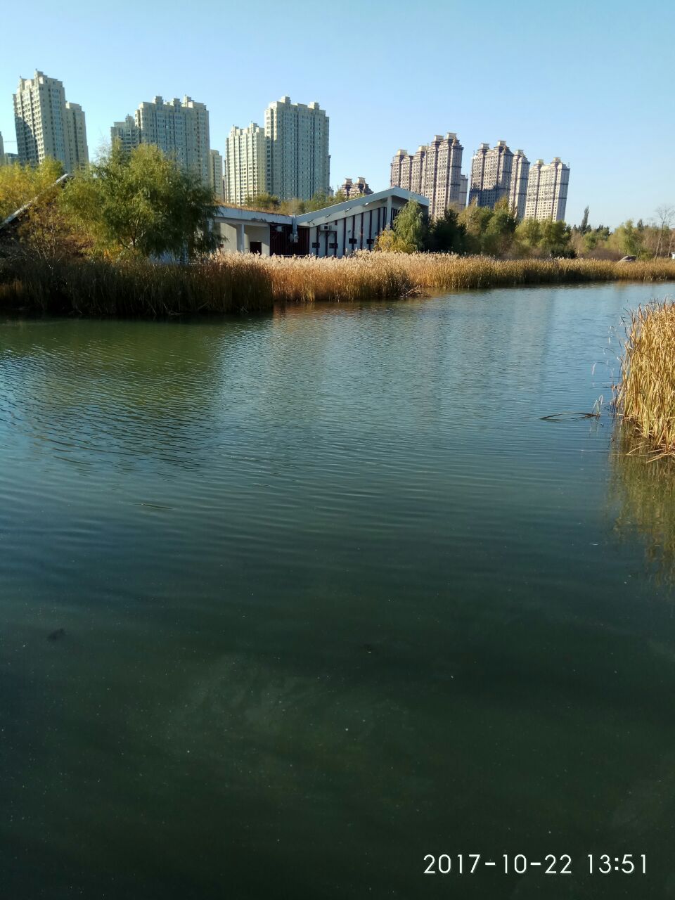 群力湿地公园公交车图片