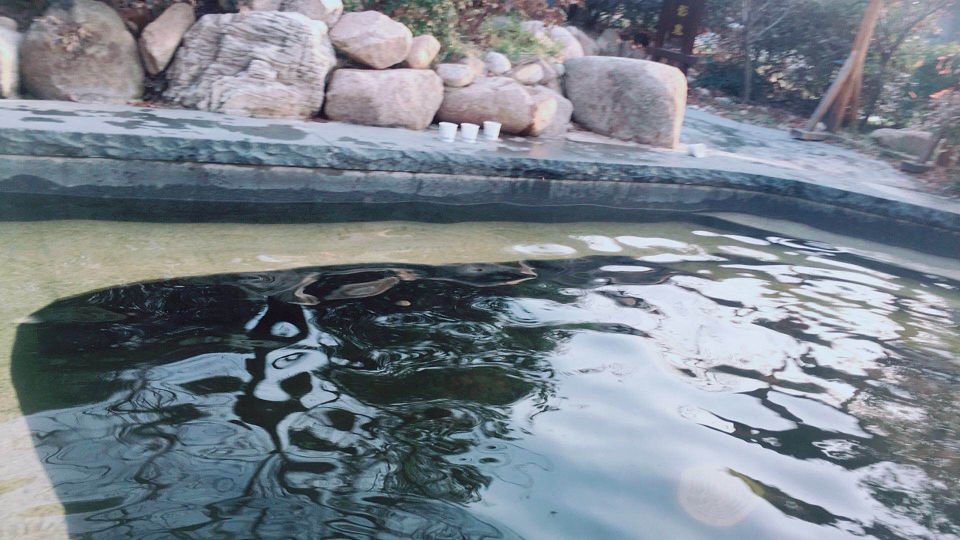 【携程攻略】西安秦岭上王温泉景点,第一次到上王村温泉,感觉环境不错