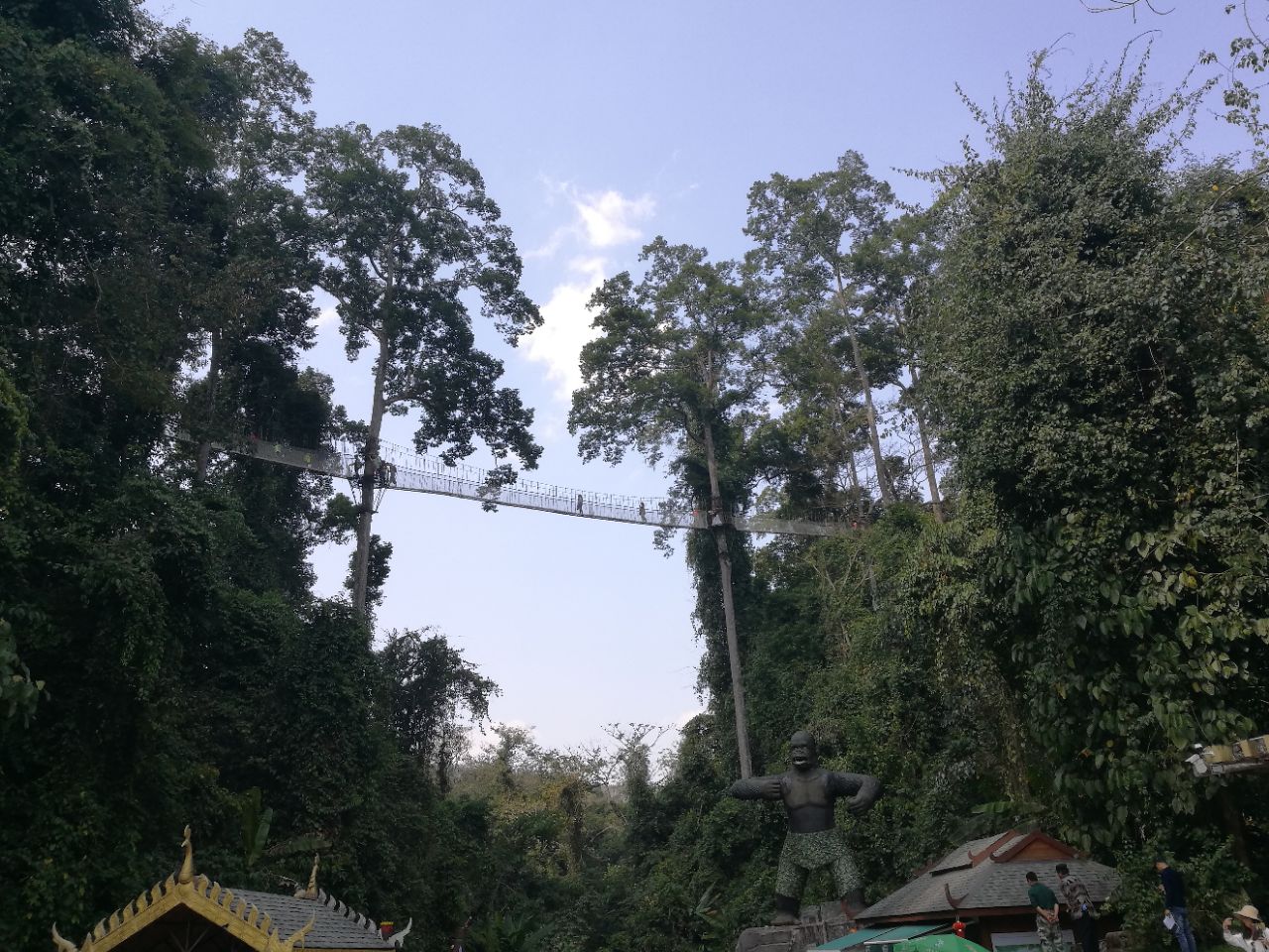 西雙版納熱帶雨林國家公園望天樹景區