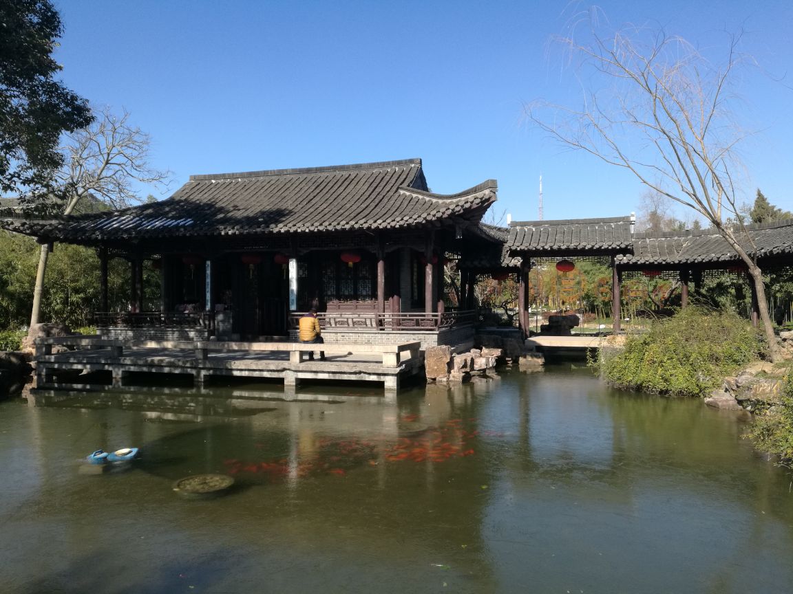 中国古琴第一街